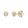Thumbnail Image 0 of Elliot Young Cultured Freshwater Pearl Stud Earrings in 14K Gold