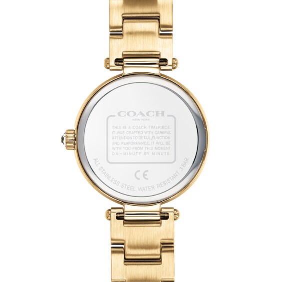 Ladies' Coach Park Crystal Accent Gold-Tone Watch with Silver-Tone Dial (Model: 14503625) Ladies' Coach Park Crystal Accent Gold-Tone Watch with Silver-Tone Dial (Model: 14503625)