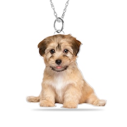 Engravable Photo Pet Pendant in Sterling Silver (1 Image and 2 Lines)