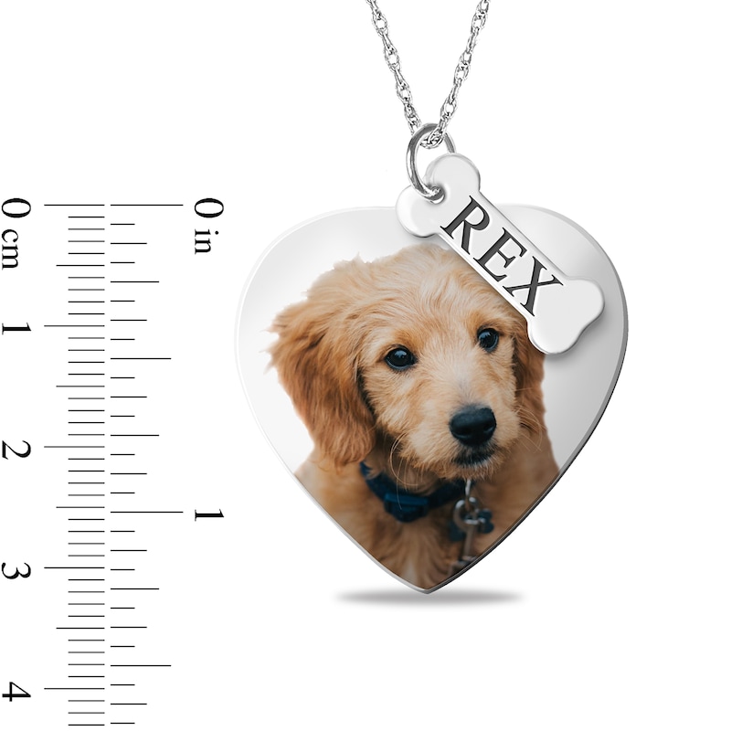 Bonus Chapter: Dog of the Military?