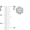 Thumbnail Image 3 of Zales Private Collection 1 CT. T.W. Certified Diamond Frame Flower Stud Earrings in 14K White Gold (F/I2)