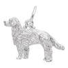 Thumbnail Image 0 of Rembrandt Charms® Golden Retriever in Sterling Silver