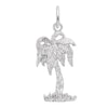 Thumbnail Image 1 of Rembrandt Charms® Leafy Palm Tree in Sterling Silver