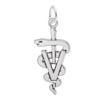 Thumbnail Image 1 of Rembrandt Charms® Veterinarian Caduceus in Sterling Silver