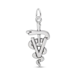 Rembrandt Charms® Veterinarian Caduceus in Sterling Silver