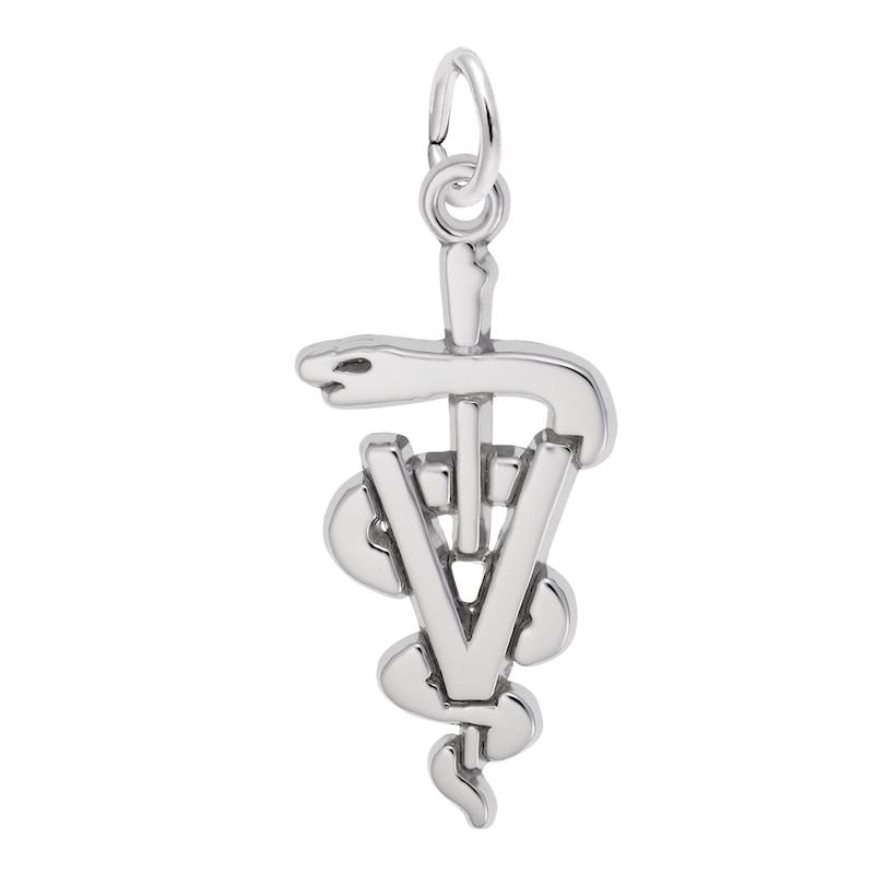 Main Image 1 of Rembrandt Charms® Veterinarian Caduceus in Sterling Silver