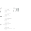 Thumbnail Image 2 of 1/2 CT. T.W. Certified Princess-Cut Lab-Created Diamond Solitaire Stud Earrings in 14K White Gold (F/SI2)