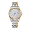 Thumbnail Image 1 of Ladies' Citizen Eco-Drive® Corso Two-Tone Watch with Mother-of-Pearl Dial (Model: EO1224-54D)