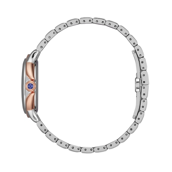 Ladies' Citizen Eco-DriveÂ® Ceci Diamond Accent Two-Tone Watch with Silver-Tone Dial (Model: Em0956-54A)
