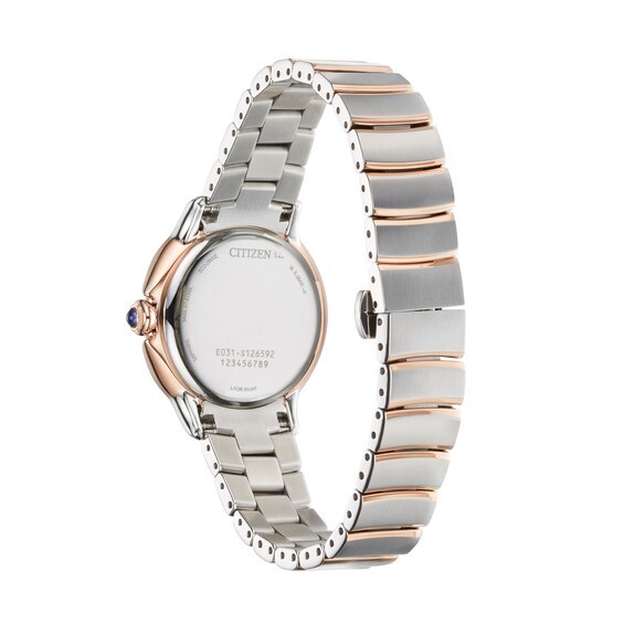 Ladies' Citizen Eco-DriveÂ® Ceci Diamond Accent Two-Tone Watch with Silver-Tone Dial (Model: Em0956-54A)
