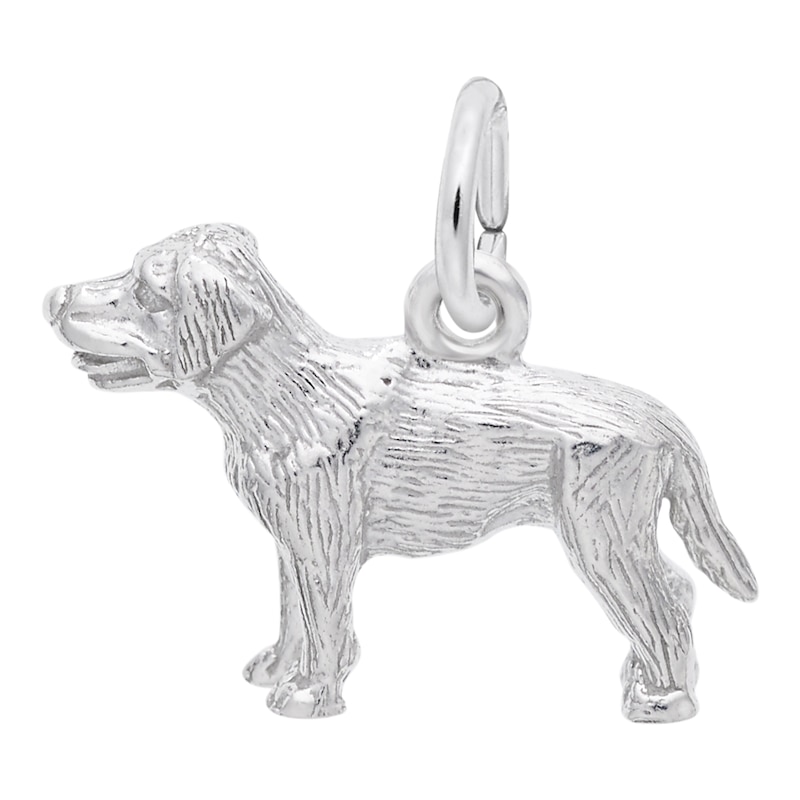 Rembrandt Charms® Labrador Retriever in Sterling Silver