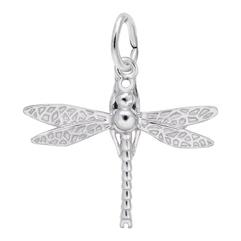 Main Image 1 of Rembrandt Charms® Textured Dragonfly in Sterling Silver