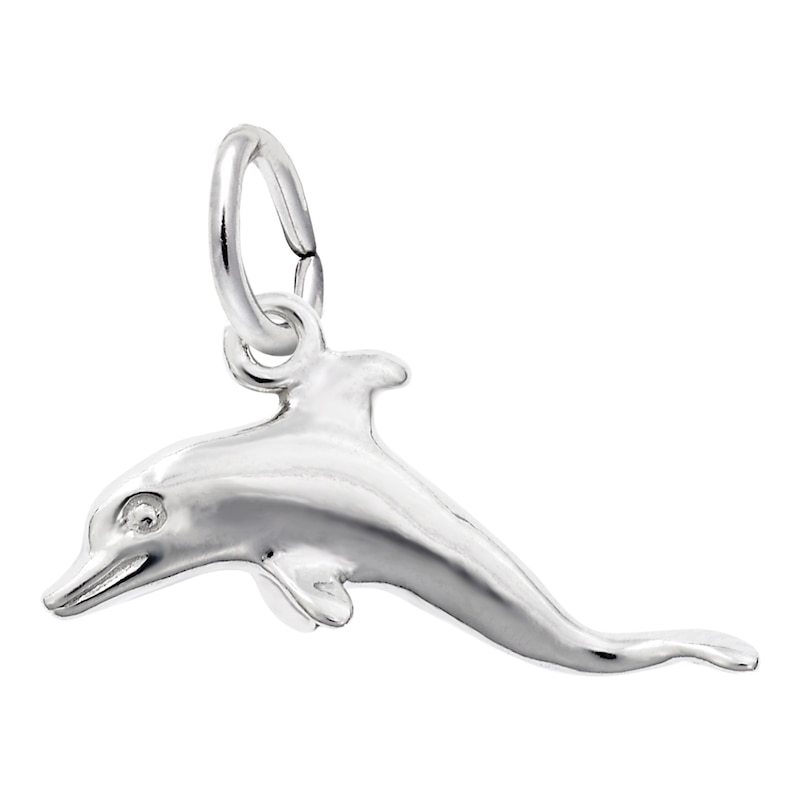 Rembrandt Charms® Dolphin in Sterling Silver