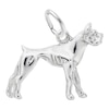 Thumbnail Image 0 of Rembrandt Charms® Boxer in Sterling Silver