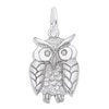 Thumbnail Image 0 of Rembrandt Charms® Owl in Sterling Silver