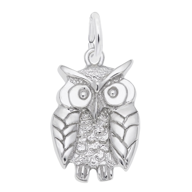 Main Image 1 of Rembrandt Charms® Owl in Sterling Silver