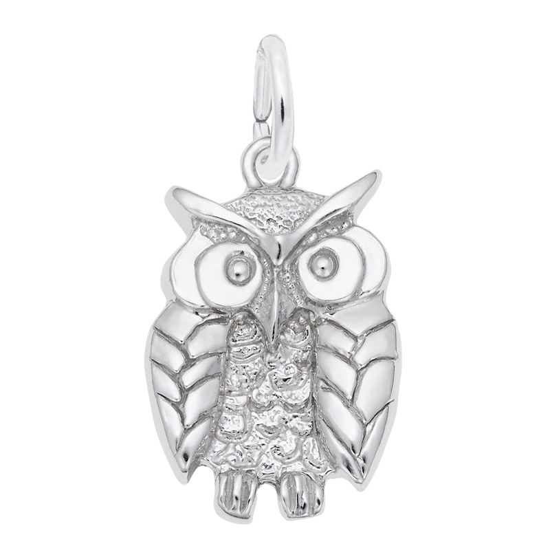 Rembrandt Charms® Owl in Sterling Silver