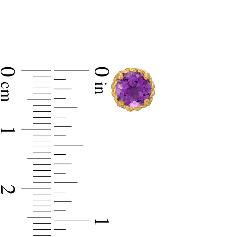 Main Image 3 of 6.0mm Amethyst Solitaire Rope-Textured Frame Stud Earrings in Sterling Silver and 10K Gold