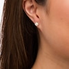 Thumbnail Image 2 of 6.0-6.5mm Button Freshwater Cultured Pearl Rope-Textured Frame Stud Earrings in Sterling Silver and 10K Gold