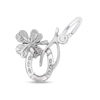Thumbnail Image 1 of Rembrandt Charms® Good Luck Theme in Sterling Silver