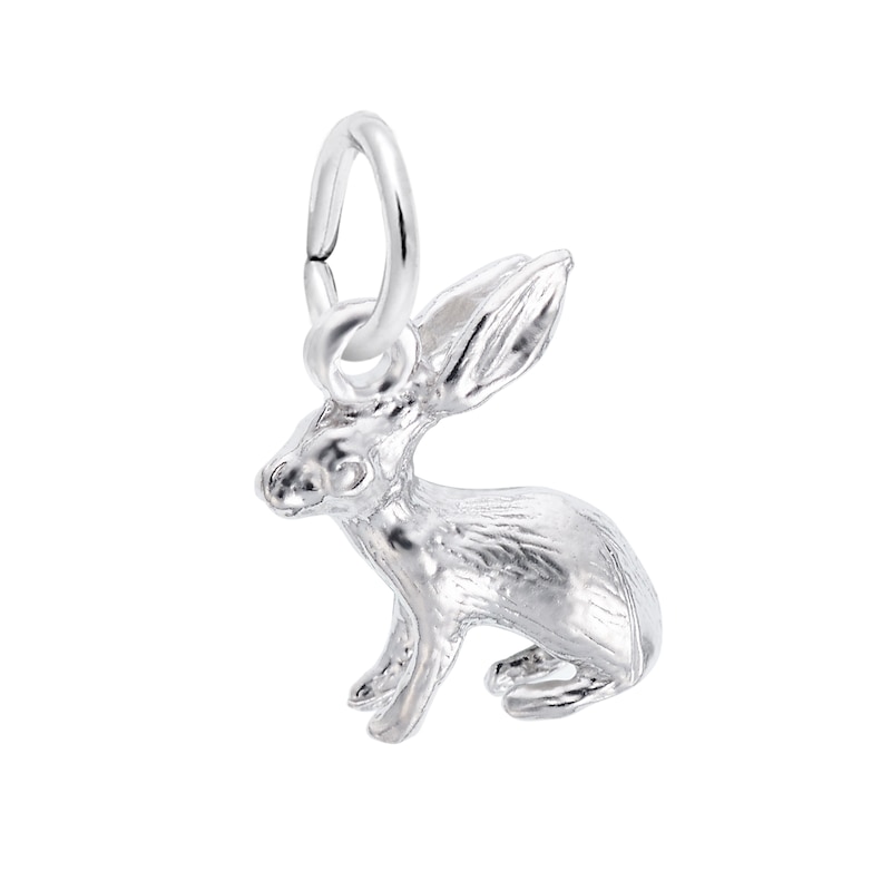 Main Image 1 of Rembrandt Charms® Bunny in Sterling Silver