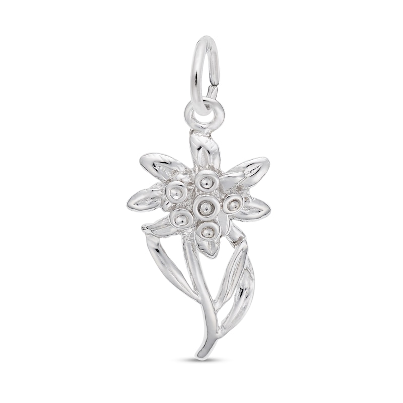 Main Image 1 of Rembrandt Charms® Edelweiss in Sterling Silver