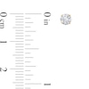 Thumbnail Image 2 of 3/8 CT. T.W. Diamond Solitaire Stud Earrings in 14K Gold (J/I1)