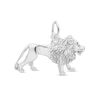 Thumbnail Image 1 of Rembrandt Charms® Lion in Sterling Silver