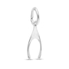 Thumbnail Image 1 of Rembrandt Charms® Wishbone in Sterling Silver