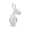 Thumbnail Image 1 of Rembrandt Charms® Apple in Sterling Silver