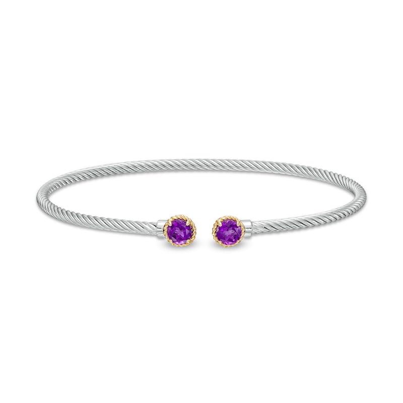 Main Image 1 of 5.0mm Amethyst Duo Rope Bangle in Sterling Silver and 10K Gold
