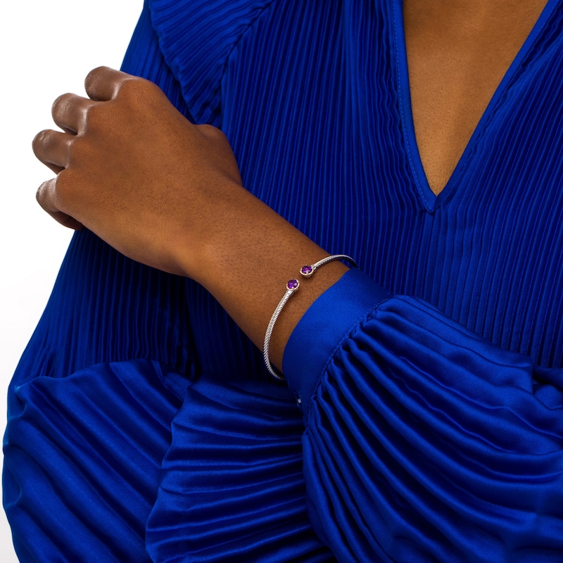 Main Image 2 of 5.0mm Amethyst Duo Rope Bangle in Sterling Silver and 10K Gold