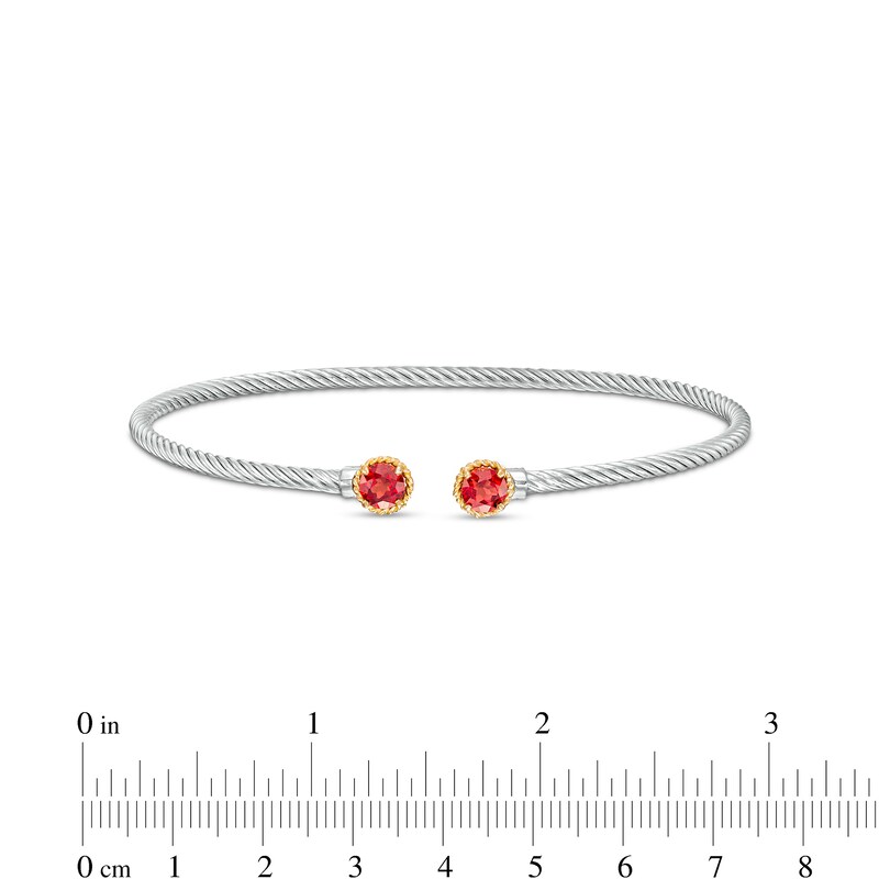 Main Image 2 of 5.0mm Garnet Duo Rope Bangle in Sterling Silver and 10K Gold