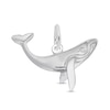 Thumbnail Image 1 of Rembrandt Charms® Whale in Sterling Silver