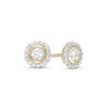Thumbnail Image 1 of 1/2 CT. T.W. Diamond Frame Stud Earrings in 10K Gold