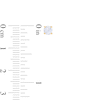 Thumbnail Image 2 of 1/2 CT. T.W. Certified Lab-Created Diamond Solitaire Stud Earrings in 14K Gold (F/SI2)