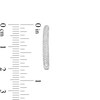 Thumbnail Image 3 of 1/2 CT. T.W. Diamond Triple Row Inside-Out Hoop Earrings in 10K White Gold