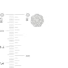 Thumbnail Image 3 of 1/2 CT. T.W. Multi-Diamond Flower Frame Stud Earrings in 10K White Gold