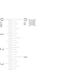 Thumbnail Image 2 of 1/6 CT. T.W. Diamond Solitaire Stud Earrings in Sterling Silver (J/I3)