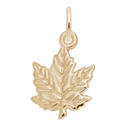 Rembrandt Charms® Maple Leaf in 14K Gold