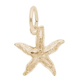 Rembrandt Charms® Starfish in 14K Gold