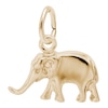 Thumbnail Image 0 of Rembrandt Charms® Elephant in 14K Gold