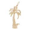 Thumbnail Image 0 of Rembrandt Charms® Palm Tree in 14K Gold