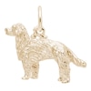 Thumbnail Image 0 of Rembrandt Charms® Golden Retriever in 14K Gold