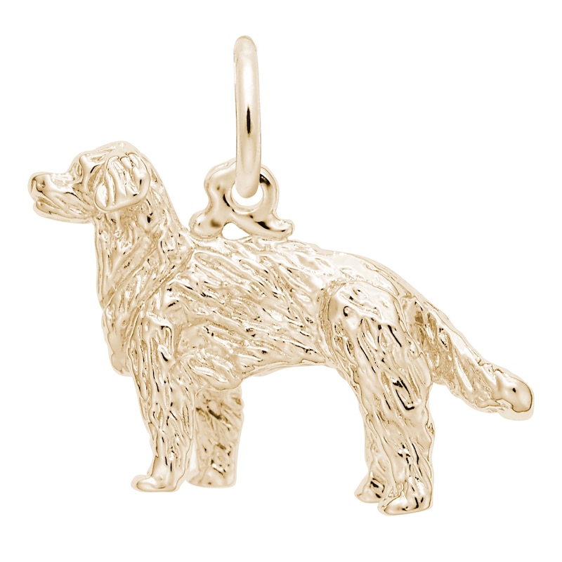 Rembrandt Charms® Golden Retriever in 14K Gold