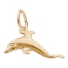 Thumbnail Image 0 of Rembrandt Charms® Dolphin in 14K Gold