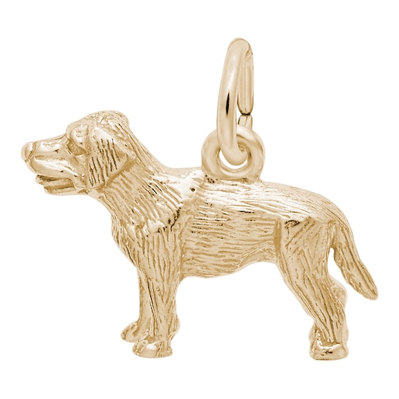 Rembrandt Charms® Labrador Retriever in 14K Gold