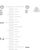 Thumbnail Image 2 of 1/4 CT. T.W. Diamond Solitaire Stud Earrings in Platinum