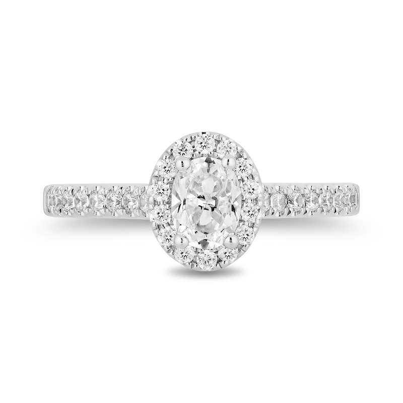 Main Image 4 of Collector's Edition Enchanted Disney Aladdin 30th Anniversary 3/4 CT. T.W. Diamond Engagement Ring in 14K Two-Tone Gold