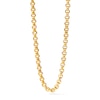 Thumbnail Image 0 of PDPAOLA™ at Zales 4.0mm Rolo Chain Necklace in Solid Sterling Silver  with 18K Gold Plate – 19.69"